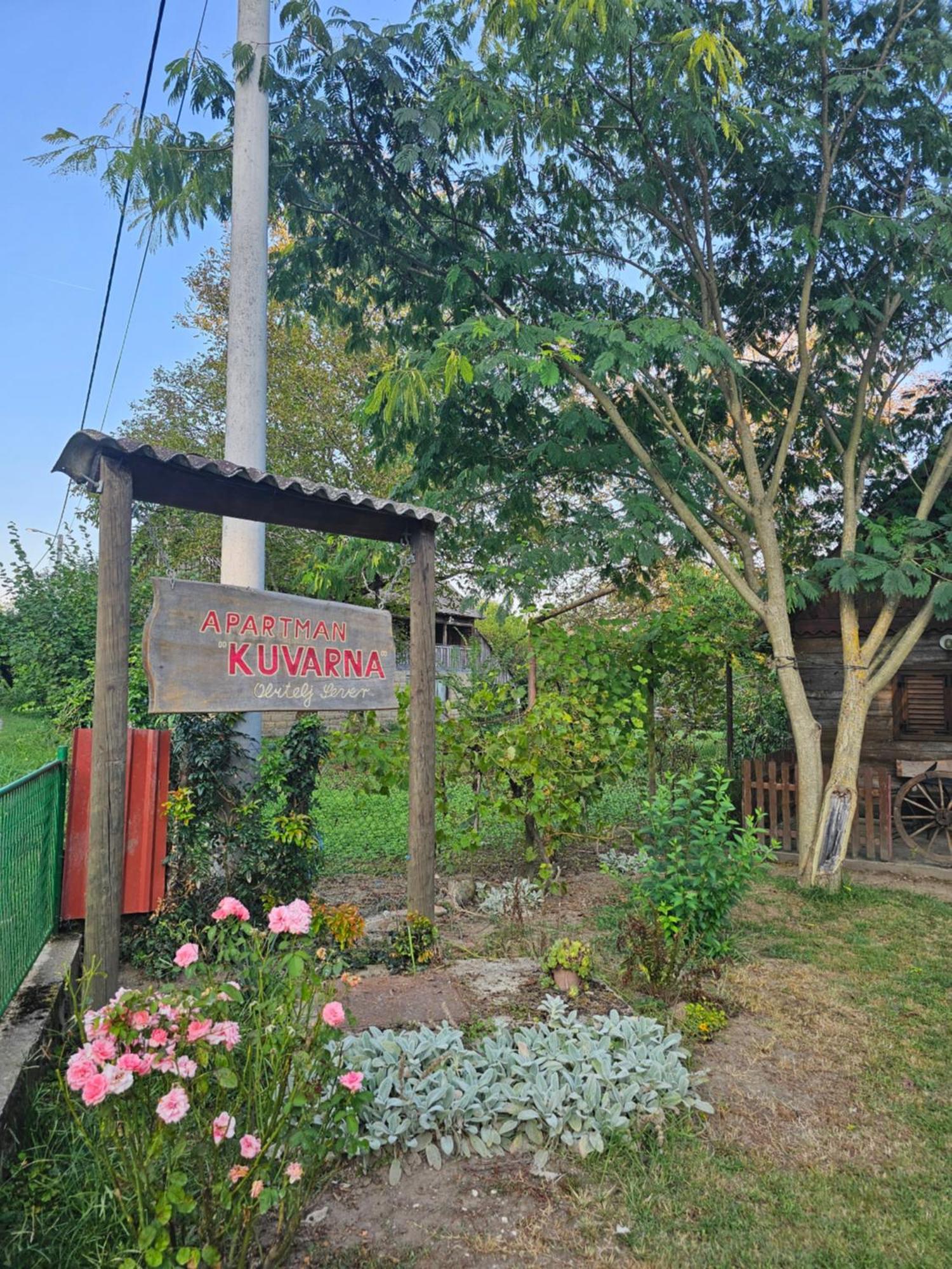 Apartments Kuvarna Čigoč 外观 照片
